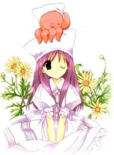 Chamomile Jasmine