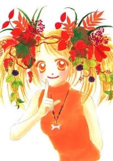 Ponta Koizumi