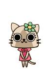 Nyami