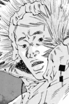 Nikumamushi