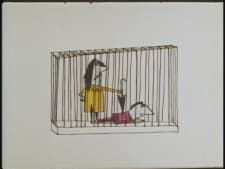 Human Zoo