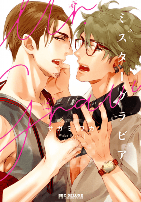 Mr. Gravure