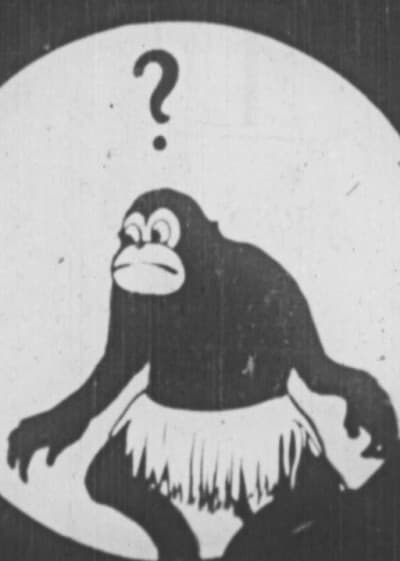 Tako no Hone