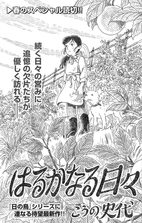 Harukanaru Hibi