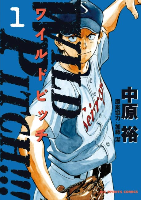 WILD PITCH!!!