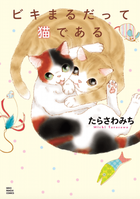 Biki Maru Datte Neko de Aru