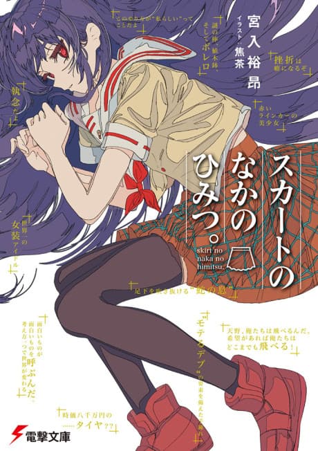 Skirt no Naka no Himitsu.