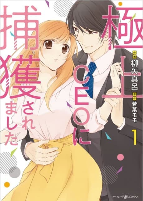 Gokujou CEO ni Hokaku Saremashita