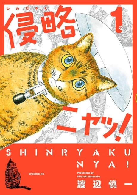 Shinryaku Nya!
