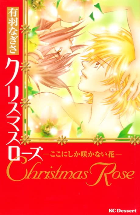 Christmas Rose