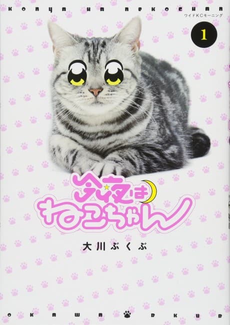 Konya wa Neko-chan