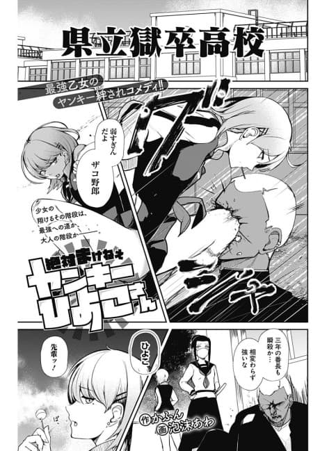 Zettai Makenee Yankee Hiyoko-san