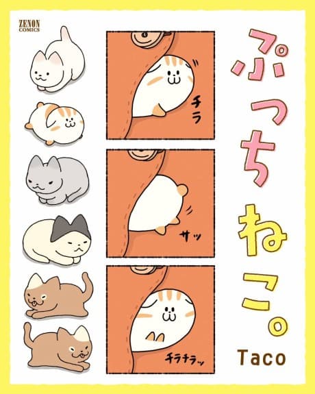 Pucchineko.