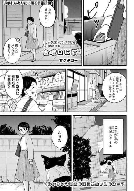 Kinyoubi ni Neko