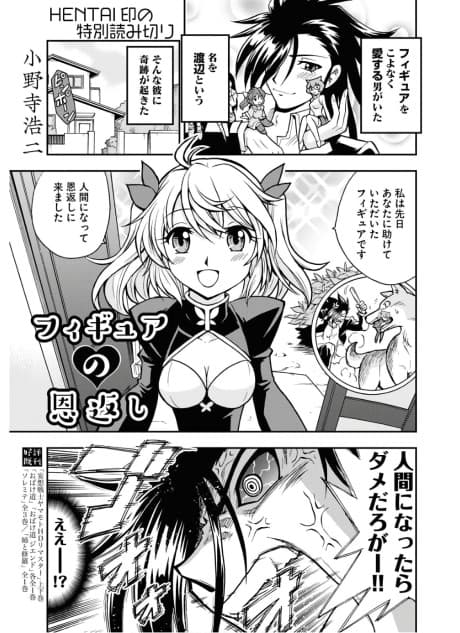 Figure no Ongaeshi
