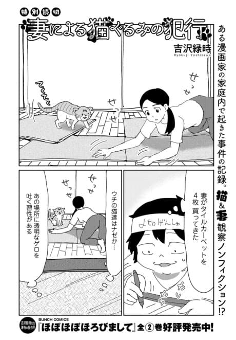 Tsuma ni Yoru Neko Gurumi no Hankou