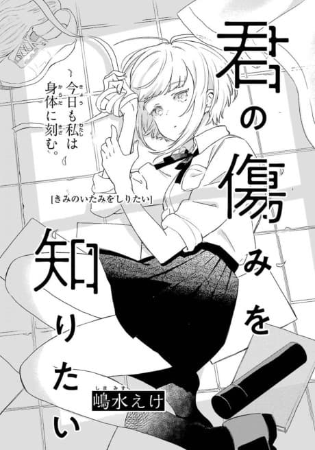 Kimi no Itami wo Shiritai
