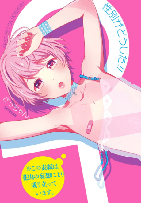 Seibetsu ga Doushita!!