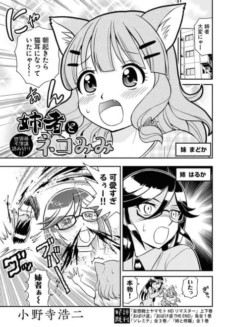 Aneja to Nekomimi