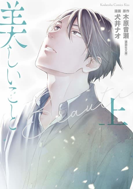 Beautiful Things: The Complete Manga Collection