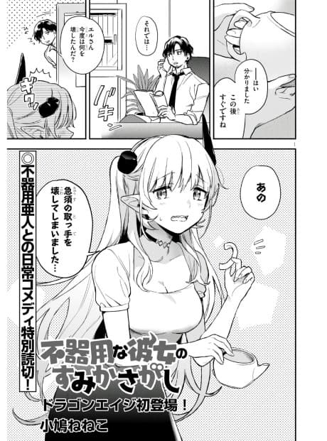 Bukiyou na Kanojo no Sumika Sagashi