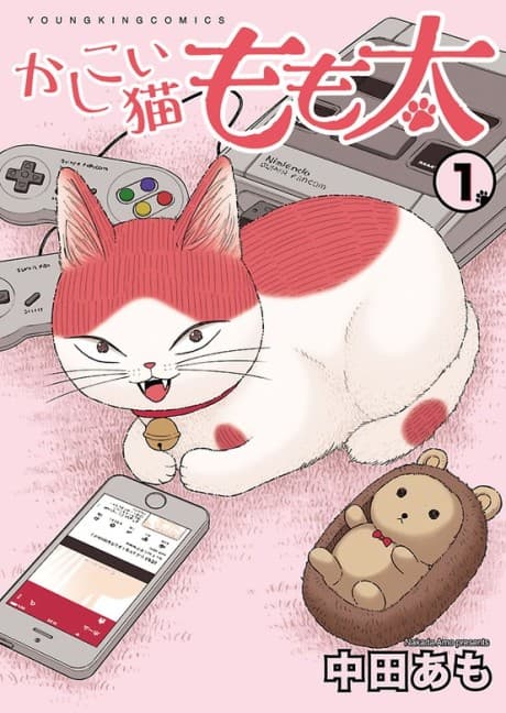 Kashikoi Neko Momo Futo