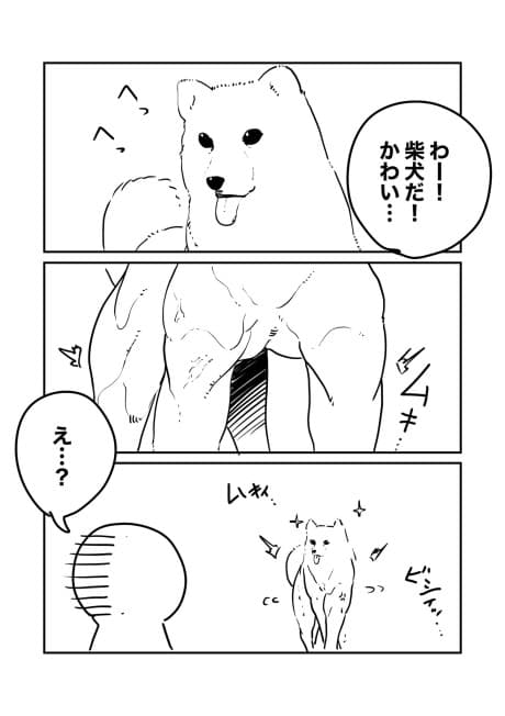 Level 100 no Shiba Inu