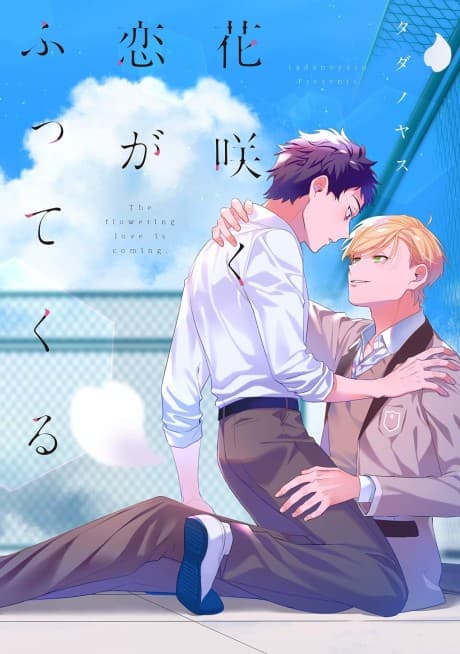 The Falling Blossoms of Love