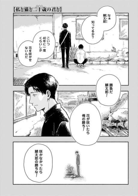 Watashi to Neko to Hatachi no Kimi to