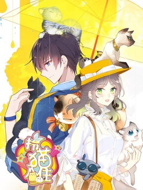 With Cats Only