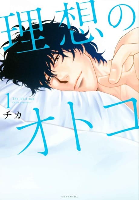 Risou no Otoko
