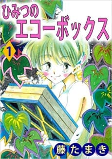 Himitsu no Echo Box