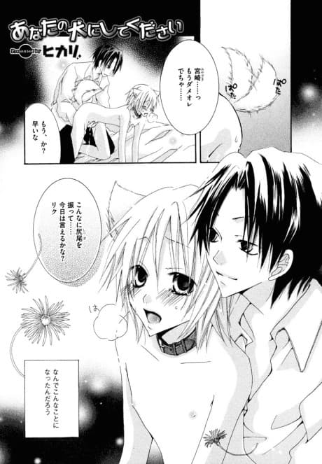 Anata no Inu ni Shite Kudasai