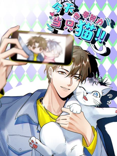 My Cat Lover