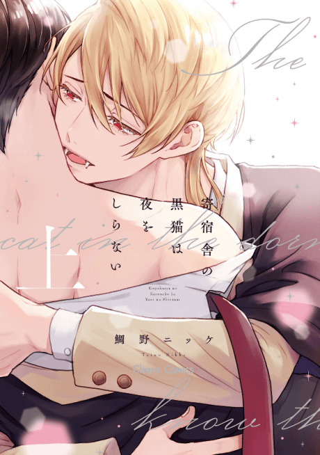 Kishukusha no Kuroneko wa Yoru wo Shiranai