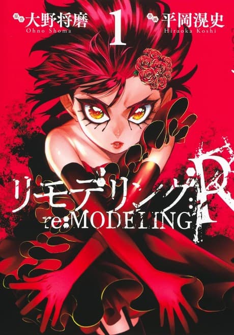 Re:Modelling:R