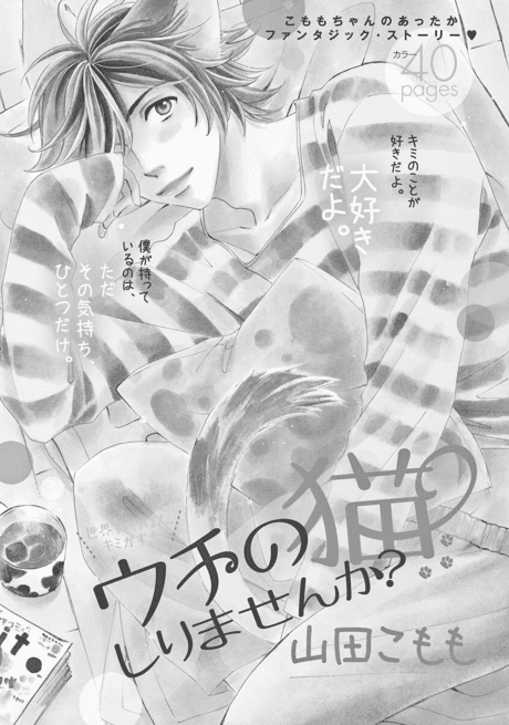 Uchi no Neko Shirimasen ka?