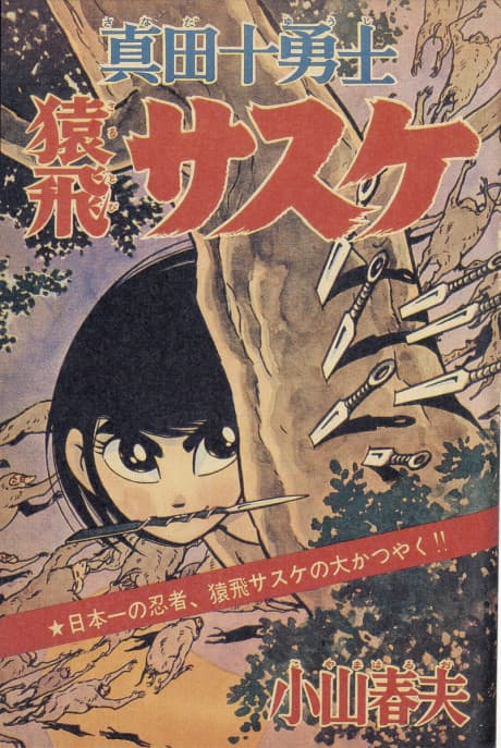 Sanada Juuyuushi: Sarutobi Sasuke