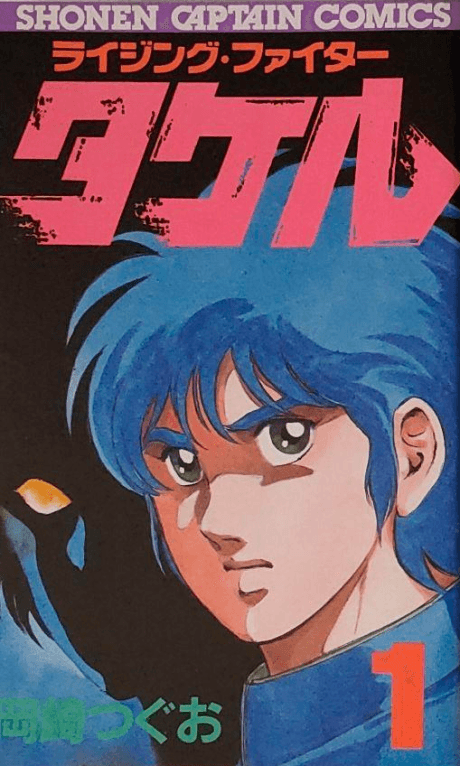Rising Fighter Takeru