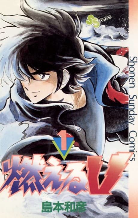 Moeru V