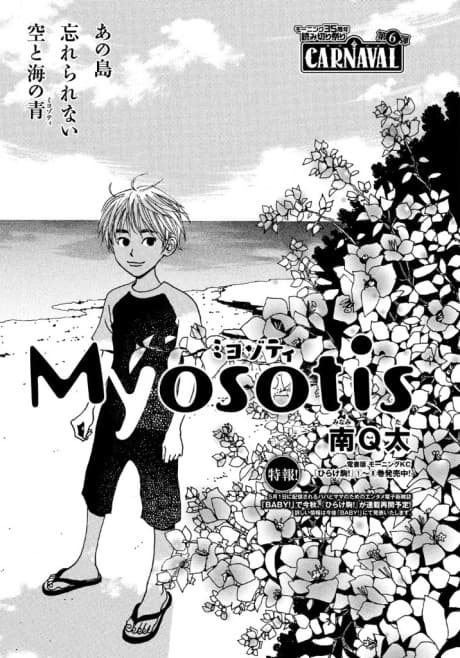 Myosotis