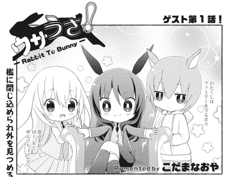 UsaUsa!: Rabbit To Bunny