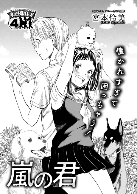 Arashi no Kimi