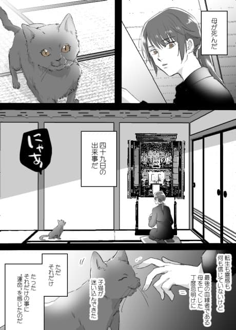 Neko to Ko to Haha