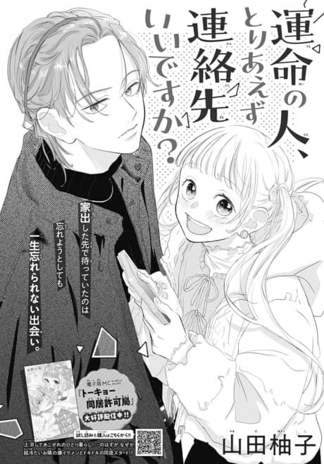 Unmei no Hito, Toriaezu Renrakusen Idesu ka?