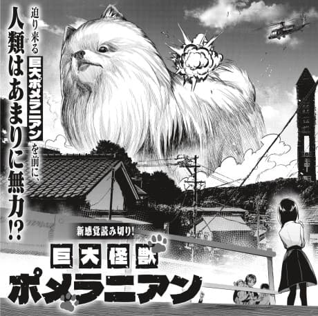 Kyodai Kaijuu Pomeranian