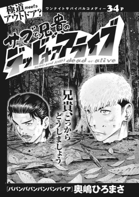 Sub to Aniki no Dead or Alive