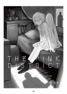 THE PINK DISTRICT