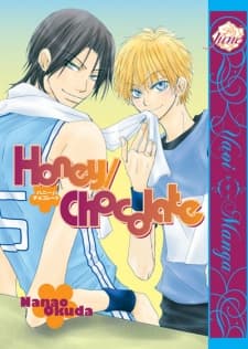 Honey / Chocolate