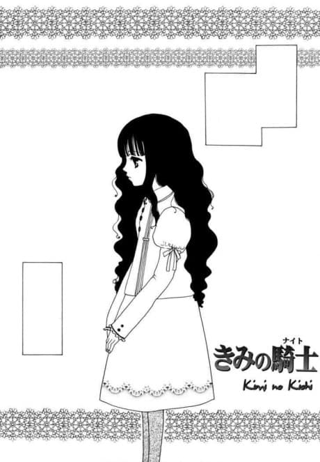 Kimi no Kishi